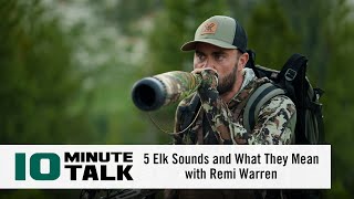 #10MinuteTalk - 5 Elk Sounds and What They Mean with Remi Warren