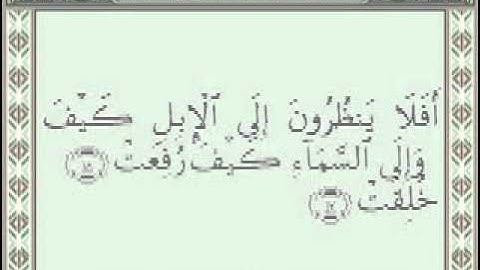 088 AlGhashiya Sudais Shuraim (سورة الغاشية)