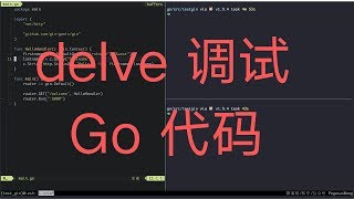 go delve debug调试