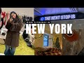 【Vlog】ニューヨークで過ごすホリデーの準備💛