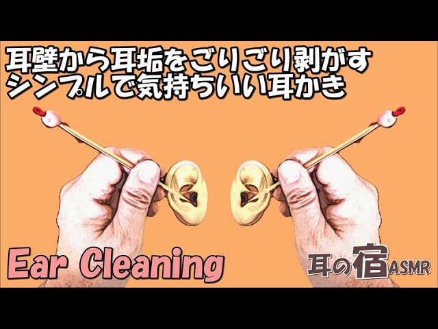 【ASMR】耳壁から耳垢をごりごり剥がす シンプルで気持ちいい耳かき【Ear cleaning】