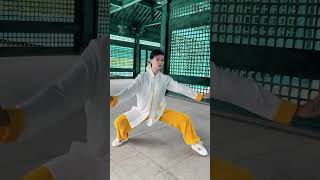 True Tai Chi is loose, calm, rigid and soft#taichi #taijiquan #kungfu #wushu #sports #shorts screenshot 4