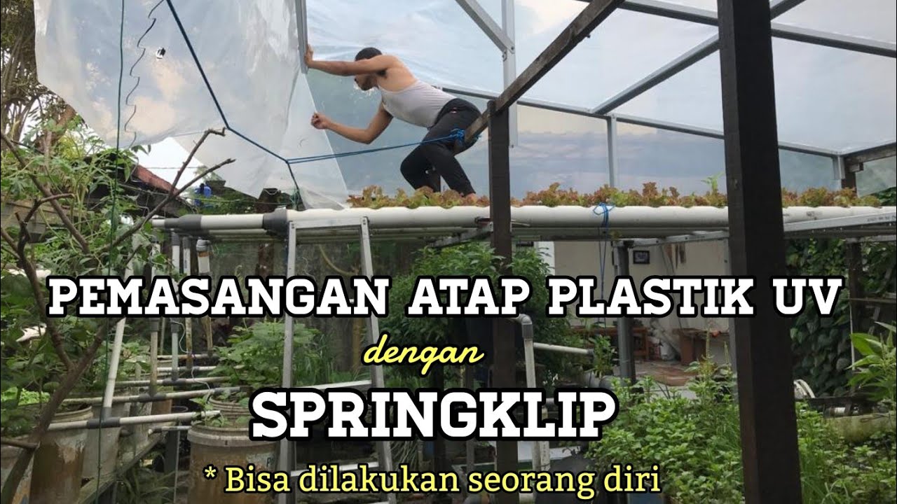 Langkah Pemasangan Plastik UV menggunakan Springklip Pada Atap ...