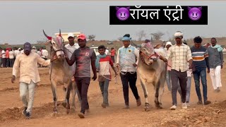 Harnya And Badal Royal Entry