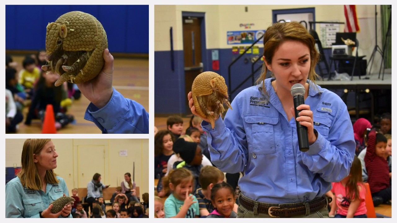 Barn Hill Preserve Visits Darby Woods Elementary School YouTube