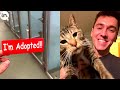 When YOU ADOPT a Foster KITTEN 😱 | Wholesome Moments