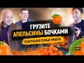 ЖИЗНЬ В ИСПАНИИ. ВАЛЕНСИЯ – КОЛЫБЕЛЬ АПЕЛЬСИНОВ. ДИКАРЯМИ В ВАЛЕНСИИ 2