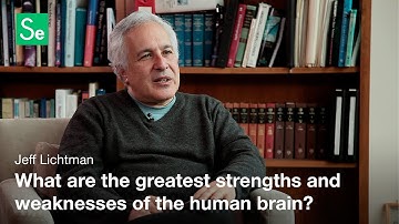 Developmental Neurobiology - Jeff Lichtman