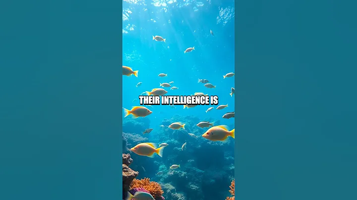 Do Goldfish Really Have a 3-Second Memory?