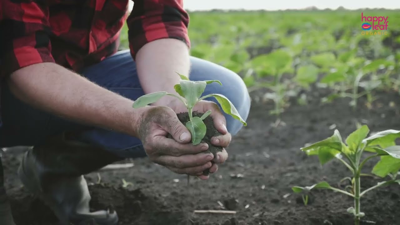 Introduction to Happy Leaf Organic Food Products