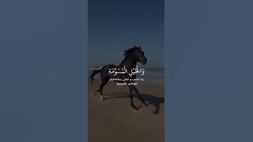 القارئ عبدالرحمن مسعد