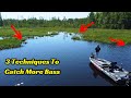 Master these 3 fishing techniques and you will catch a lot more bass