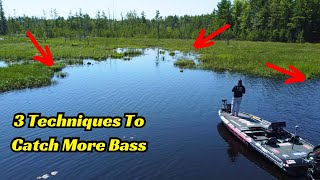 Master These 3 Fishing Techniques And You Will Catch A Lot More Bass!