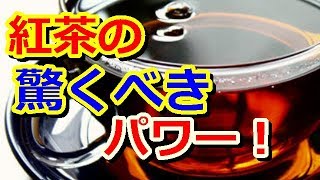 紅茶の驚くべきパワー！実はすごい健康への効果とは・・・