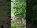 Beautiful Mungyeong Saejae Korea 🦋🇰🇷🏞🦋🇰🇷🏞🌿