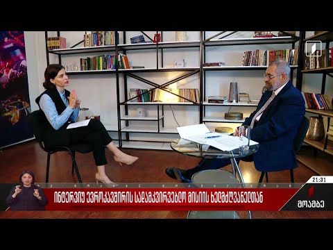 ინტერვიუ ევროკავშირის სადამკვირვებლო მისიის ხელმძღვანელთან