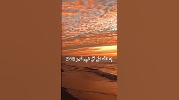 ما أجمل القرآن بصوت الشيخ المنشاوي#قرآن #قران_كريم #اسلاميات #تلاوة_خاشعة #المنشاوي