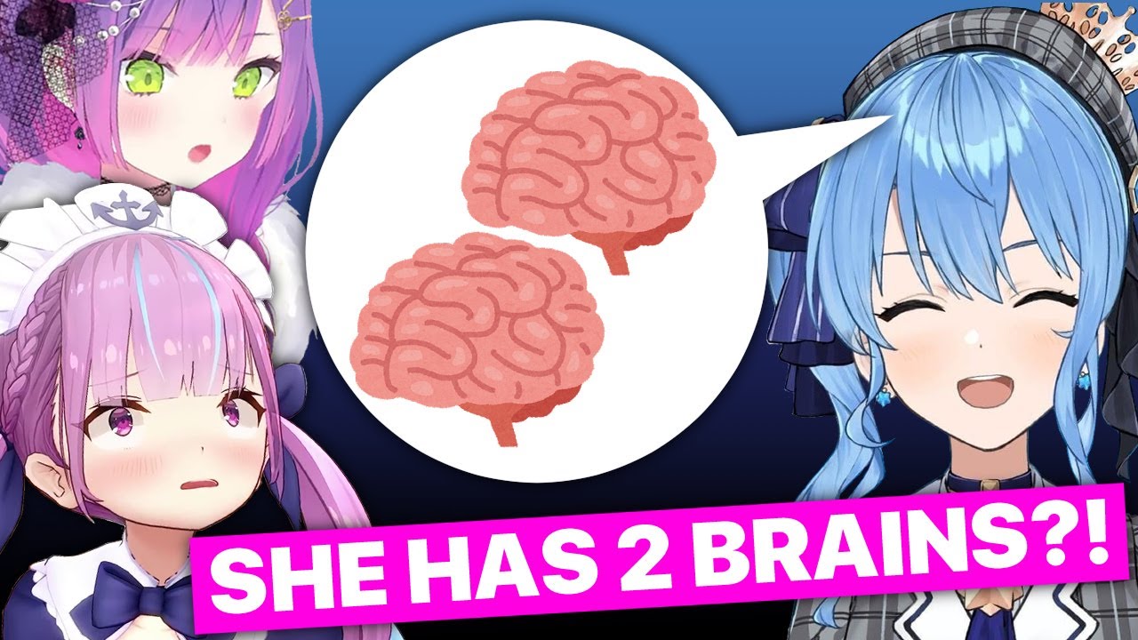Aqua: "Sui-chan Has Two Brains?" (Aqua, Suisei & Towa / Hololive) [Eng Sub]