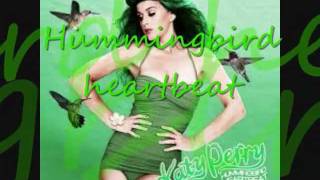 Katy Perry - Hummingbird Heartbeat (Lyrics)