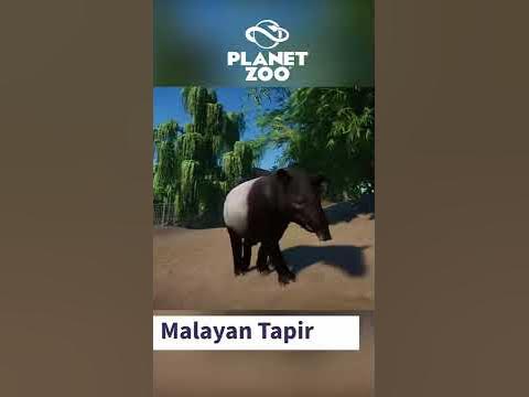 MeggieB Southeast Asia DLC Animals Planet Zoo in 60 Seconds - YouTube