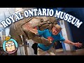 Royal ontario museum  toronto canada  massive museum with ancient treasures