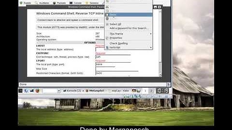 Changing Payload in Exploits using a Exploit and Metasploit Framework