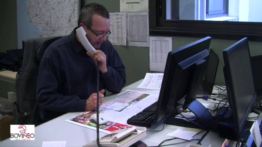 Bovinéo -  Présentation de l'activité gros bovins