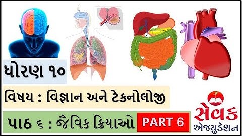 STD 10 || વિજ્ઞાન અને ટેકનોલોજી || પાઠ ૬ || જૈવિક ક્રિયાઓ || ભાગ 6