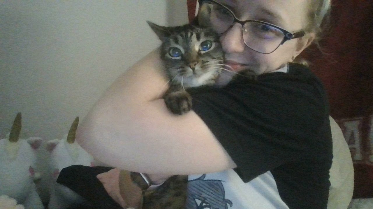 Headed to Bed With Bean