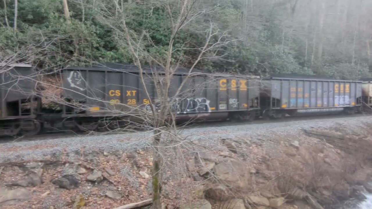 Угольная волокистая полоса вдоль берегов ручья Данлуп.