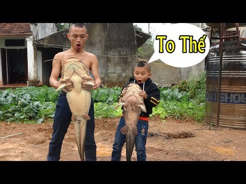Video Cá Nhéo Om Giềng Mẻ Và Pha Câu Cá Có Một Không Hai... - youtube