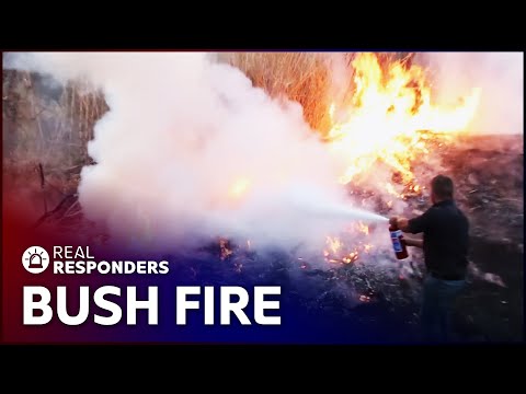 NIGHT GUARD - REAL RESPONDERS