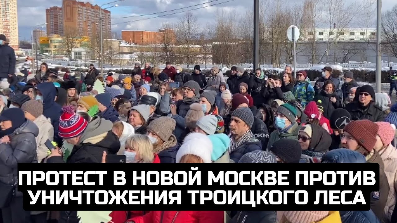 Протест в Новой Москве против уничтожения Троицкого леса
