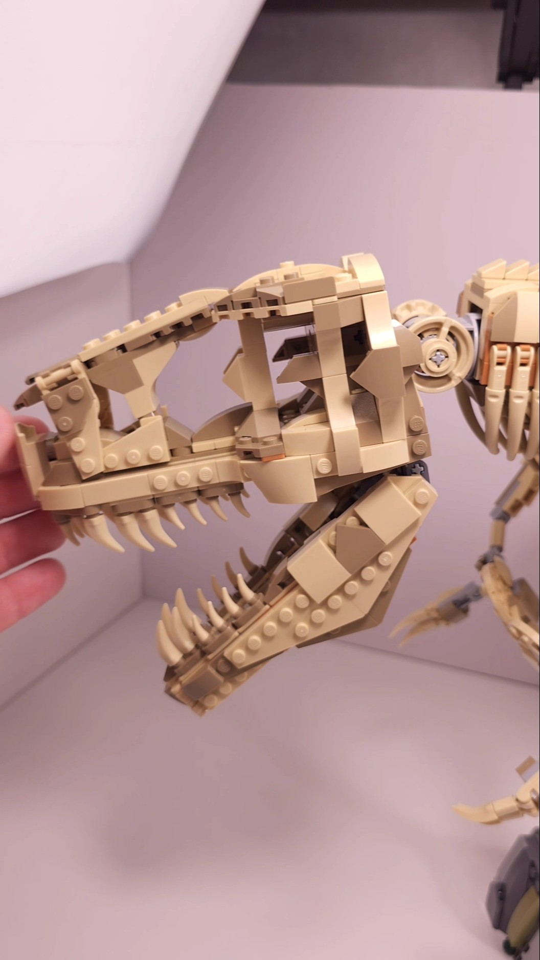 かばんガルー LEGO Jurassic World Dinosaur Fossils: Tyrannosaurus Rex (76968