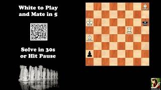Computer-Generated Chess Problem 02162