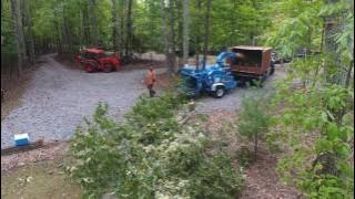 Rosewood Ln Huddelston VA 24104   Woody's Tree Service   540 488 9663