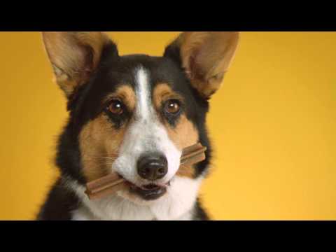 Dentastix Doggie Dentures
