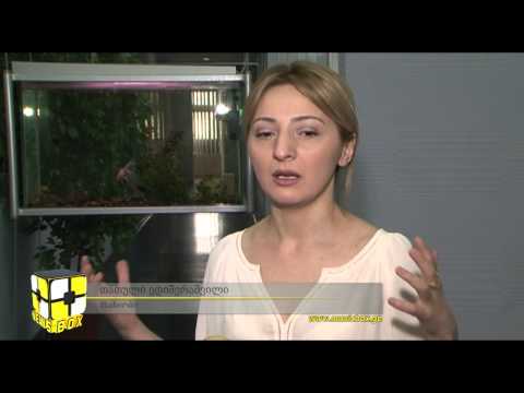 დები ღლონტების შემდეგ რომეო და ჯულიეტა