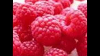 Zain Bhikha - Allahu Allahu Nasheed