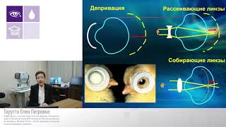 Рациональный алгоритм профилактики и лечения прогрессирующей миопии