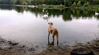 WP 20130928 006