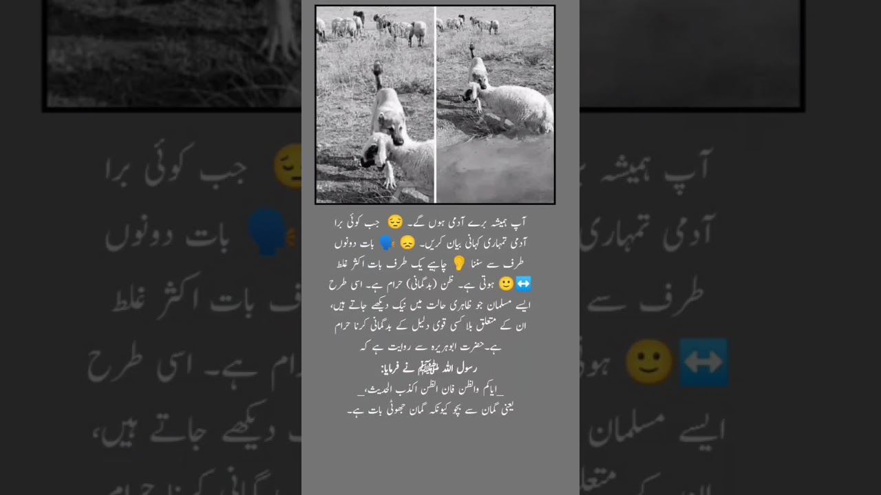 Beware of Suspicion – It's the Most False of Speech | Hadith of Prophet ﷺ 