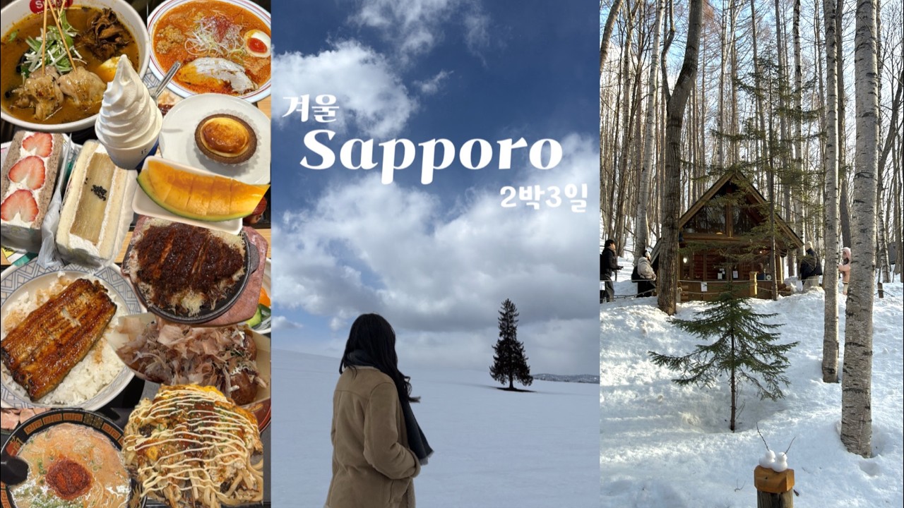 출국 전날 티켓팅해서 떠난 삿포로 2박3일 먹방 여행☃️| 위치도 최고였던 가성비 호텔✨| 맛집 추천!! | 비에이 투어, 계획 없이 떠난 즉흥 여행.. | 돈키호테 쇼핑 언박싱