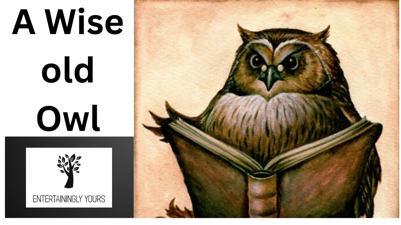 A Wise Old Owl Story Kids Story Moral Story Animated Story Children A Wise Old Owl Story Kids Story Moral Story Animated Story Children