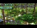 【庭づくりをお考えの方必見】　雑木の庭のメリット6選　和モダン おしゃれ　他の庭には無い魅力をプレゼンします！　ガーデニングの楽しみが広がります！　リガーデンの選択肢に加えませんか？