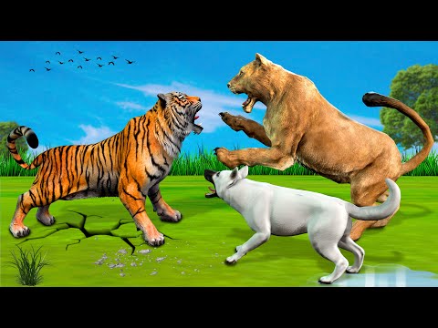 सफेद कुत्ते की मां शेरनी और बाघ की लड़ाई Safedh Kutte Ki Maa Sherani - White Puppy mother Lioness