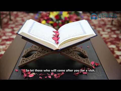 طاب-غراسكم---محمد-المقيط-|-blessed-be-your-efforts---muhammad-al-muqit