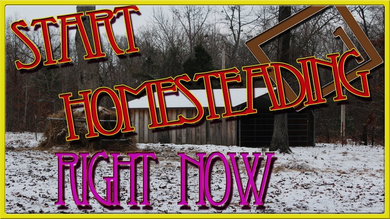 How To Start Homesteading - Part 3: Just Start - YouTube