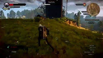 Witcher 3: Wild Hunt PC Crashing Fix