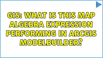 GIS: What is this Map Algebra expression performing in ArcGIS ModelBuilder?